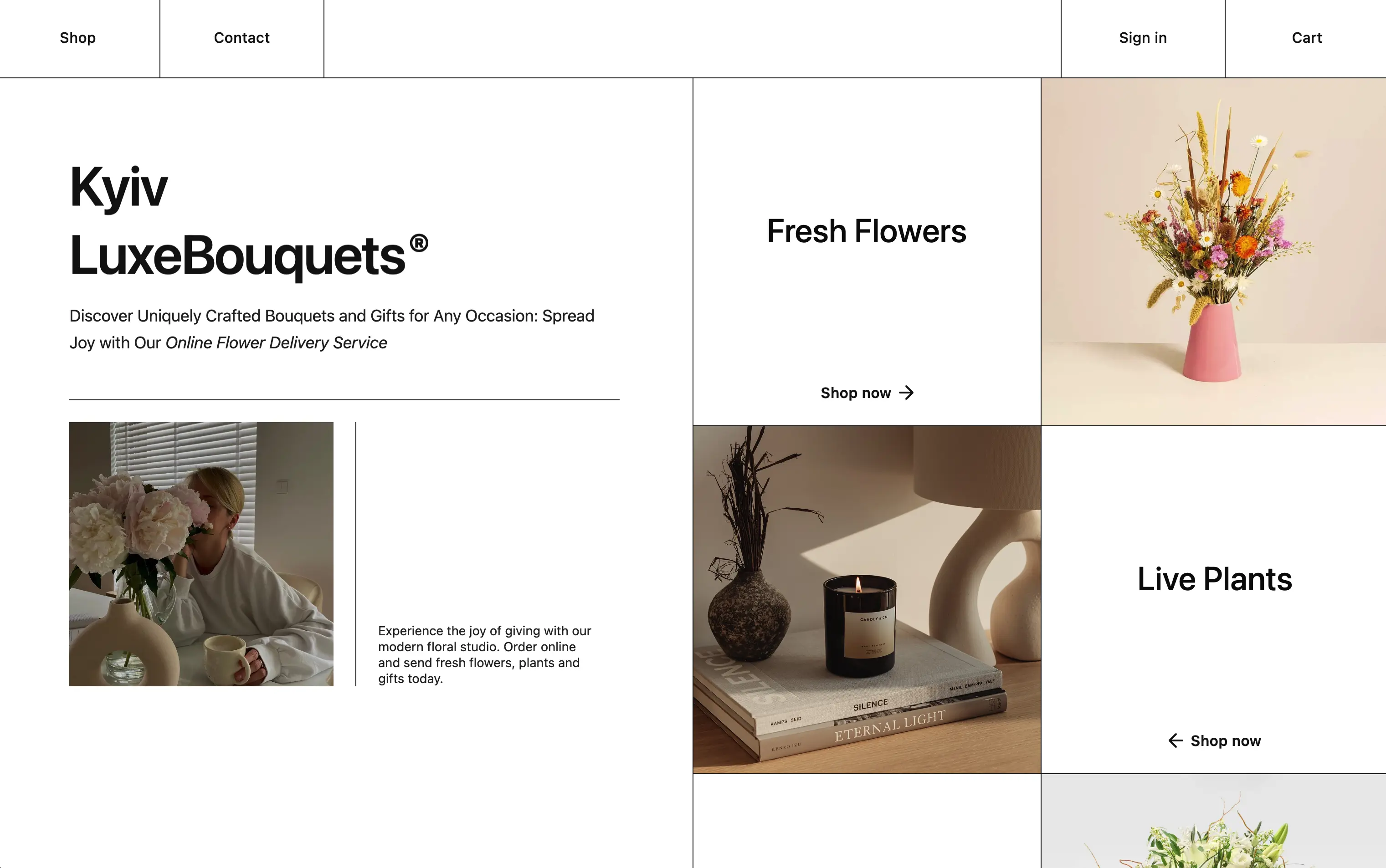 E-commerce Page